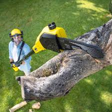 Lawn Renovation and Restoration in Woodland Hills, UT